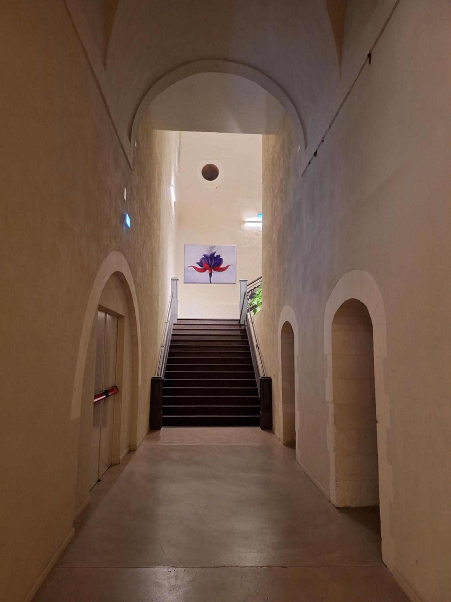 Chiostro Dei Domenicani - Dimora Storica Лече Екстериор снимка
